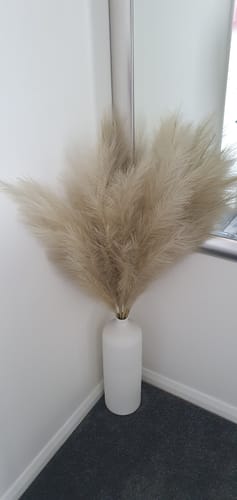 Customer photo review of Tall Faux Pampas Grass - Cream (3 Stems)