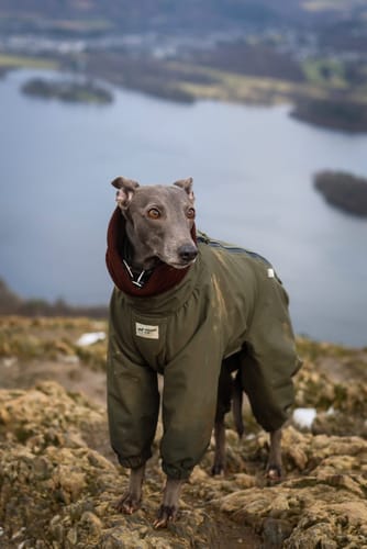 Customer photo review of Explorer Full-Cover Raincoat