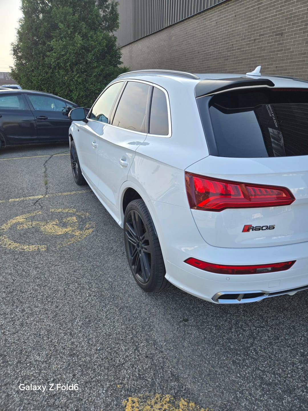 Customer photo review of Limlex® HydroShield-X Coating Spray