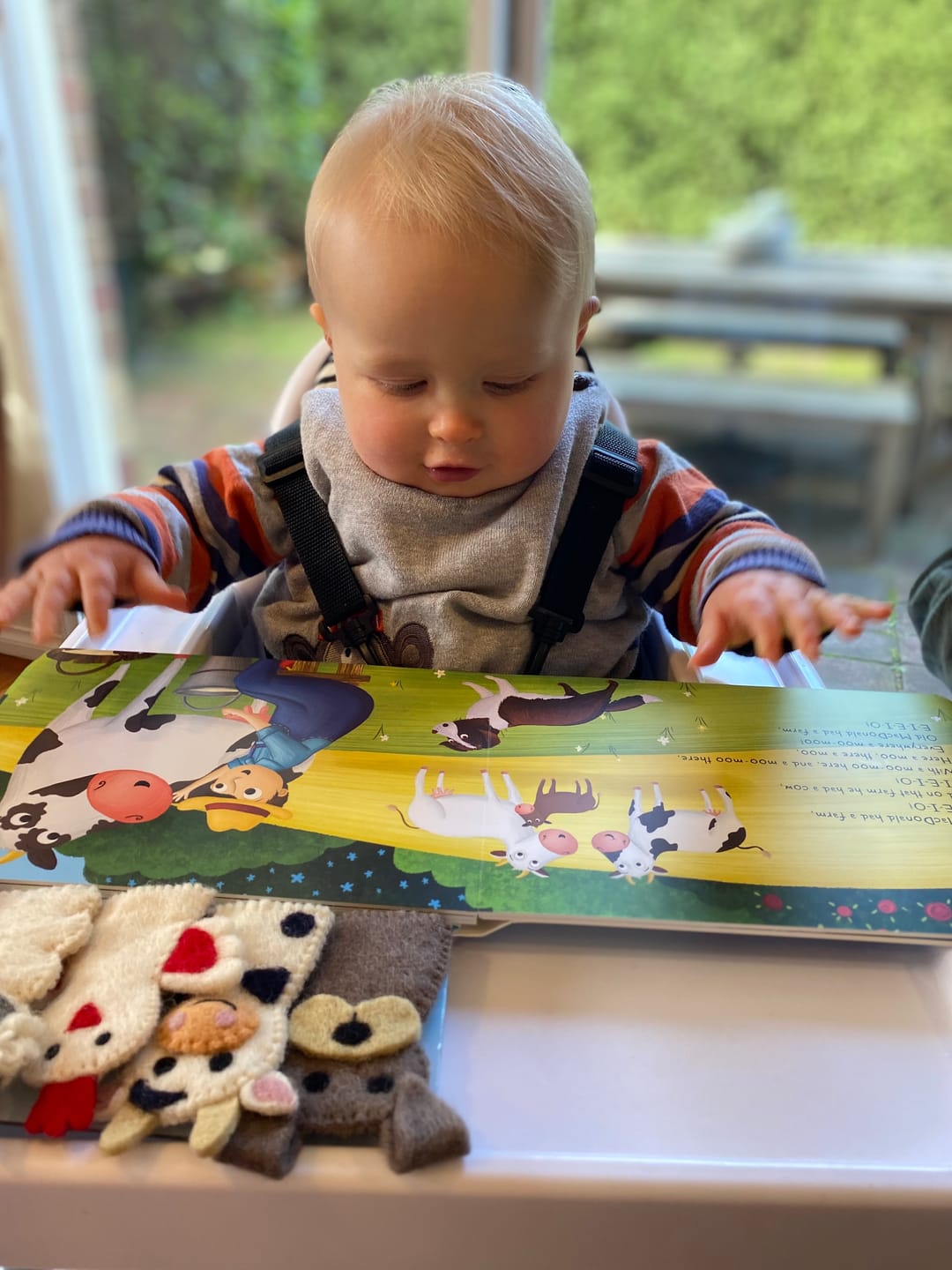 Customer photo review of Finger Puppets - $7 Individual (Pick and Choose)
