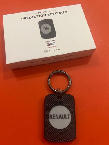 Customer photo review of Exclusive Priority Sale —— PITATA Prediction Keychain