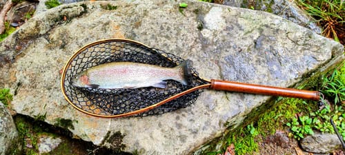 Customer photo review of Upstream