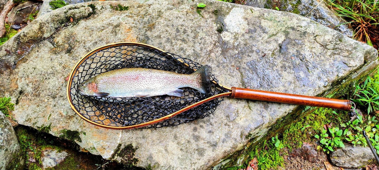 Customer photo review of Upstream