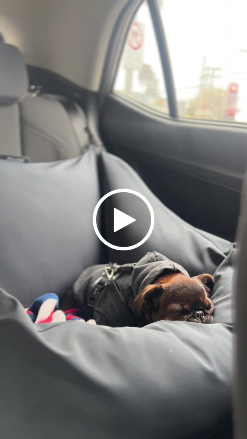 Customer video review of Cama para auto gris gráfito