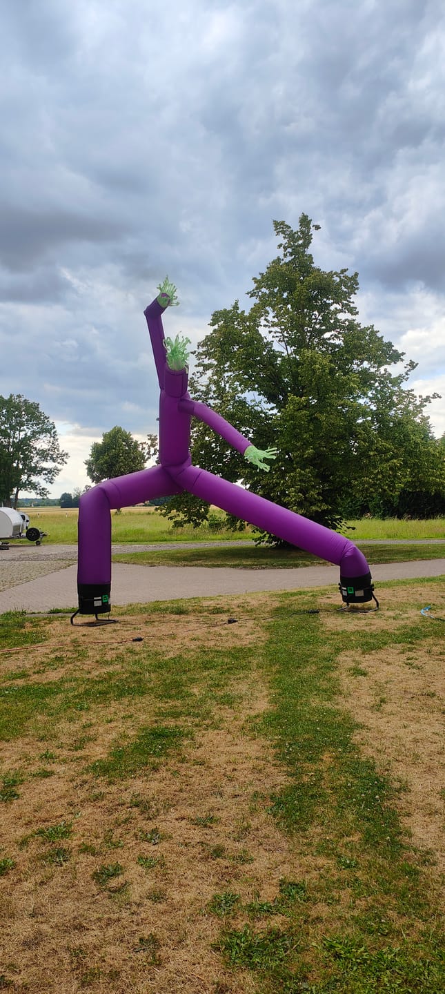 Customer photo review of Airdancers - two arms / two legs