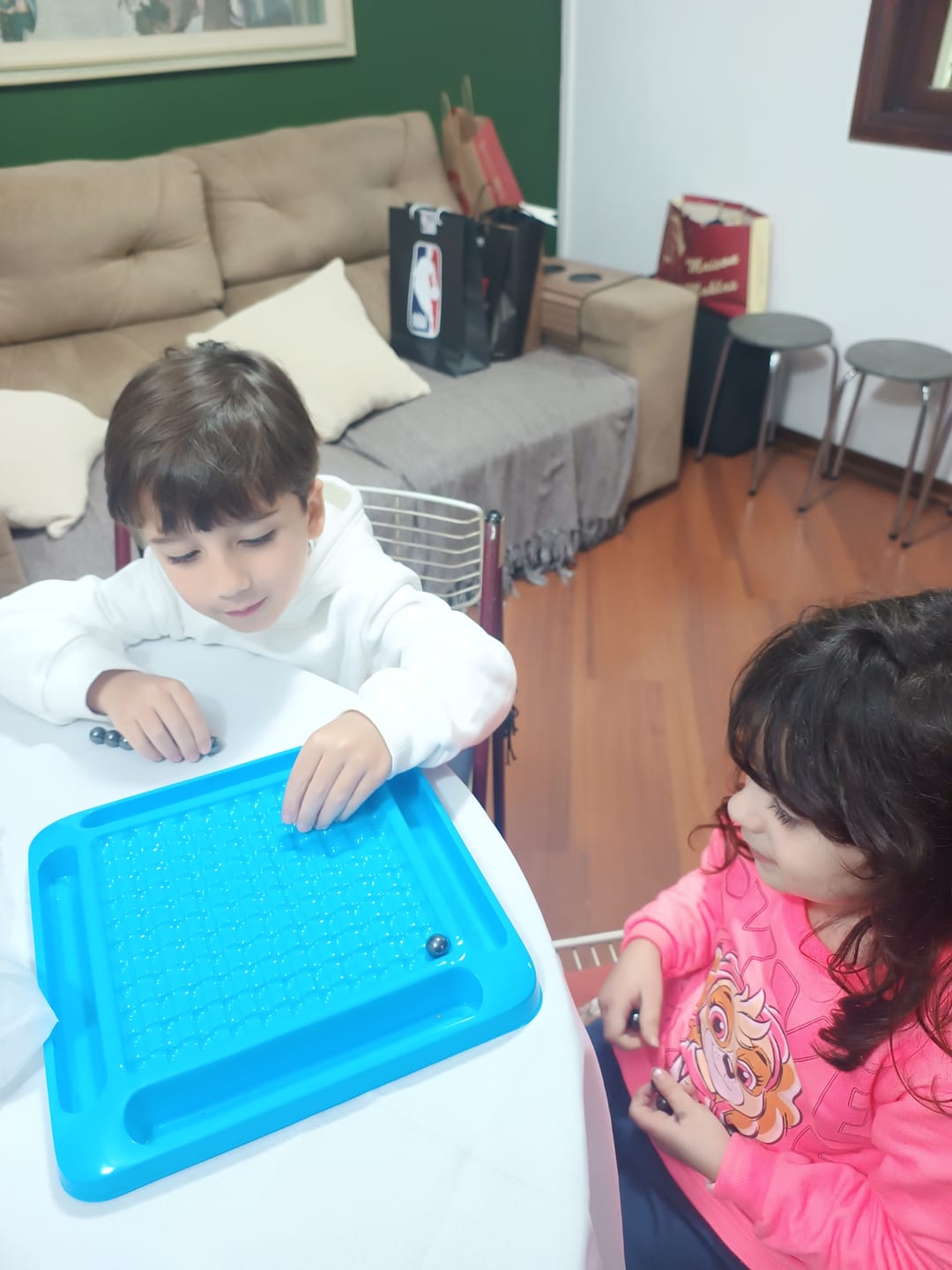 Customer photo review of Lógica - Brinquedo Educativo