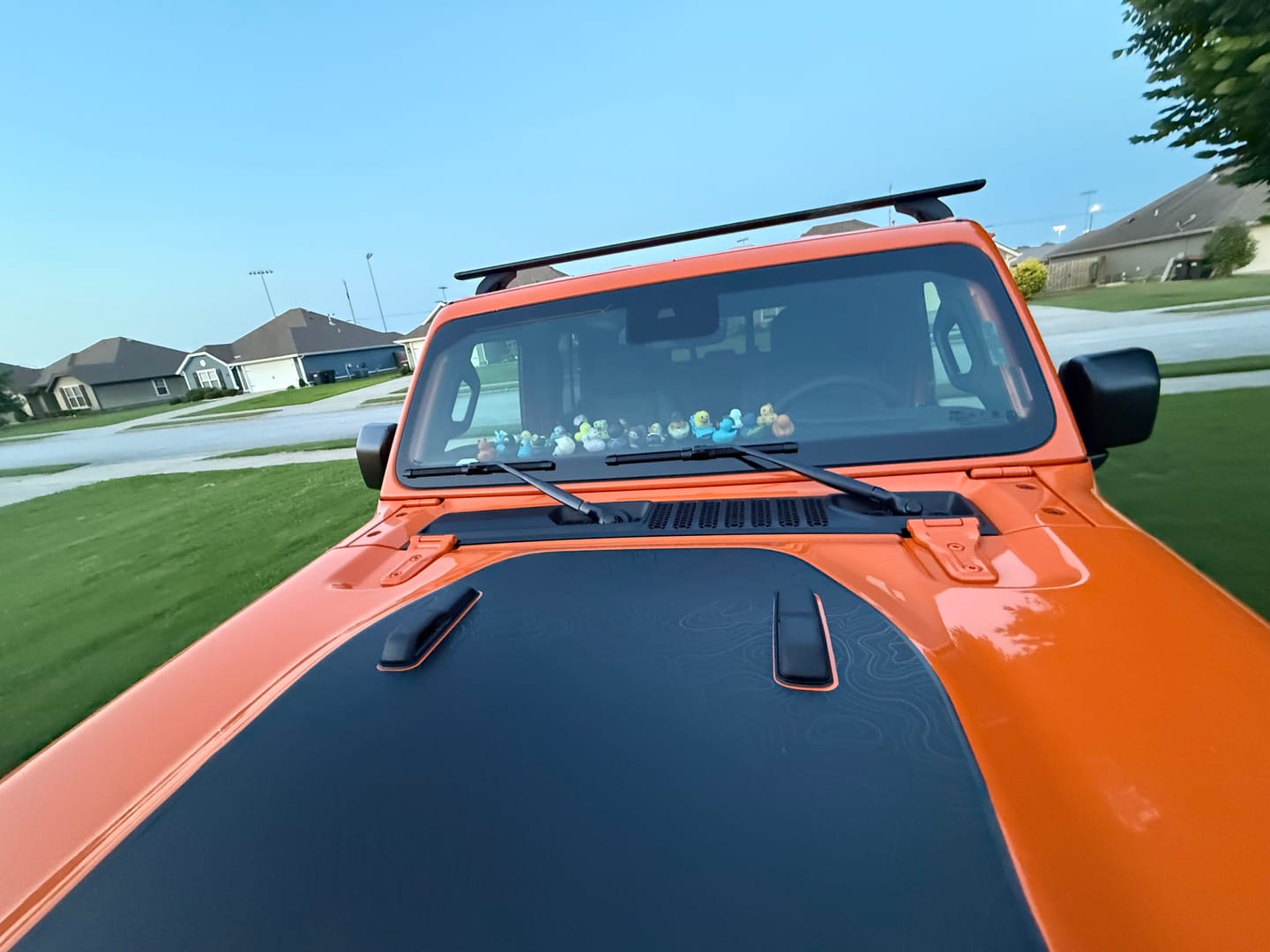 Customer photo review of Hood Graphic for Gladiator MOJAVE