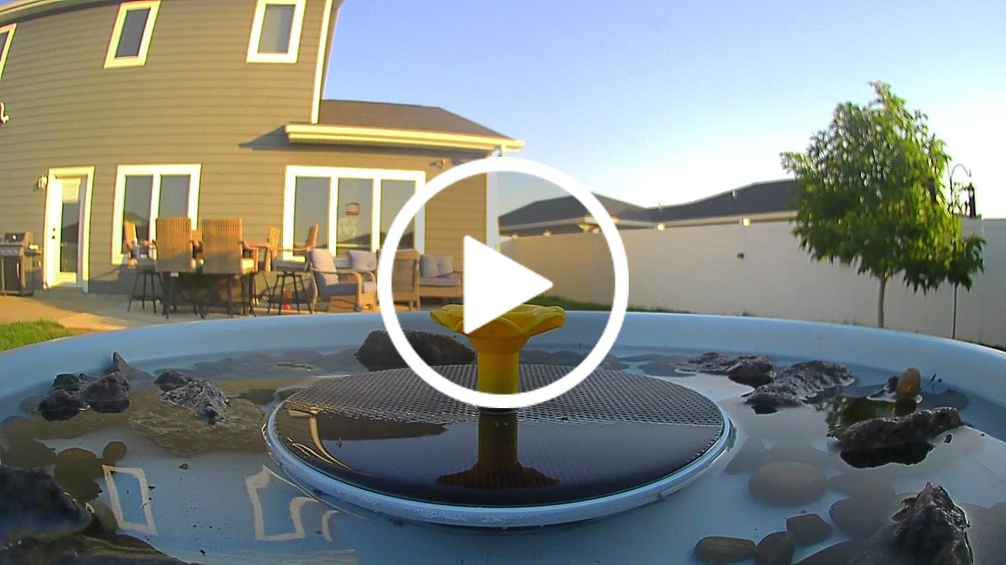 Customer video review of Birdfy Bath Pro - Smart Bird Bath with Camera