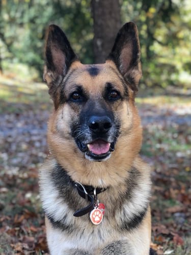 Customer photo review of Freedom Joint Drops