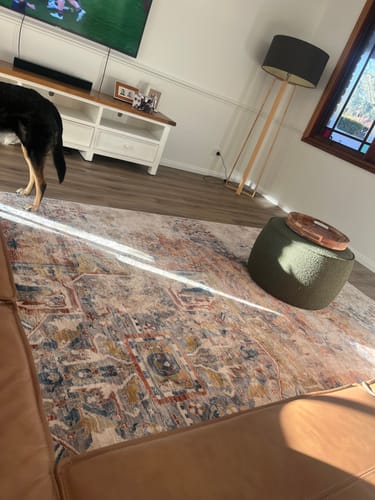 Customer photo review of Heriz Ivory Traditional Rug