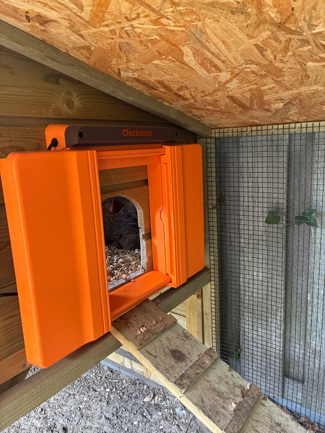 Customer photo review of Solar Automatic Chicken Coop Door