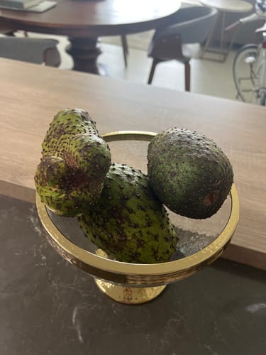 Customer photo review of Dried Mango