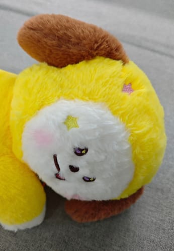 Customer photo review of BT21 Official The Journey Hug Me Plush Crossbody Bag
