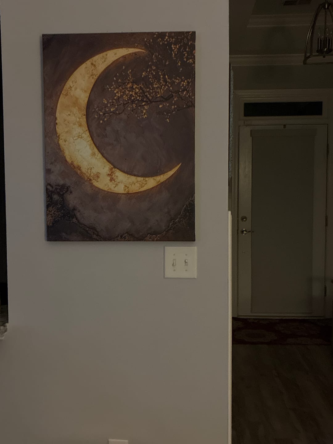 Customer photo review of Moon Blossoms V7 – A Celestial Dance of Light