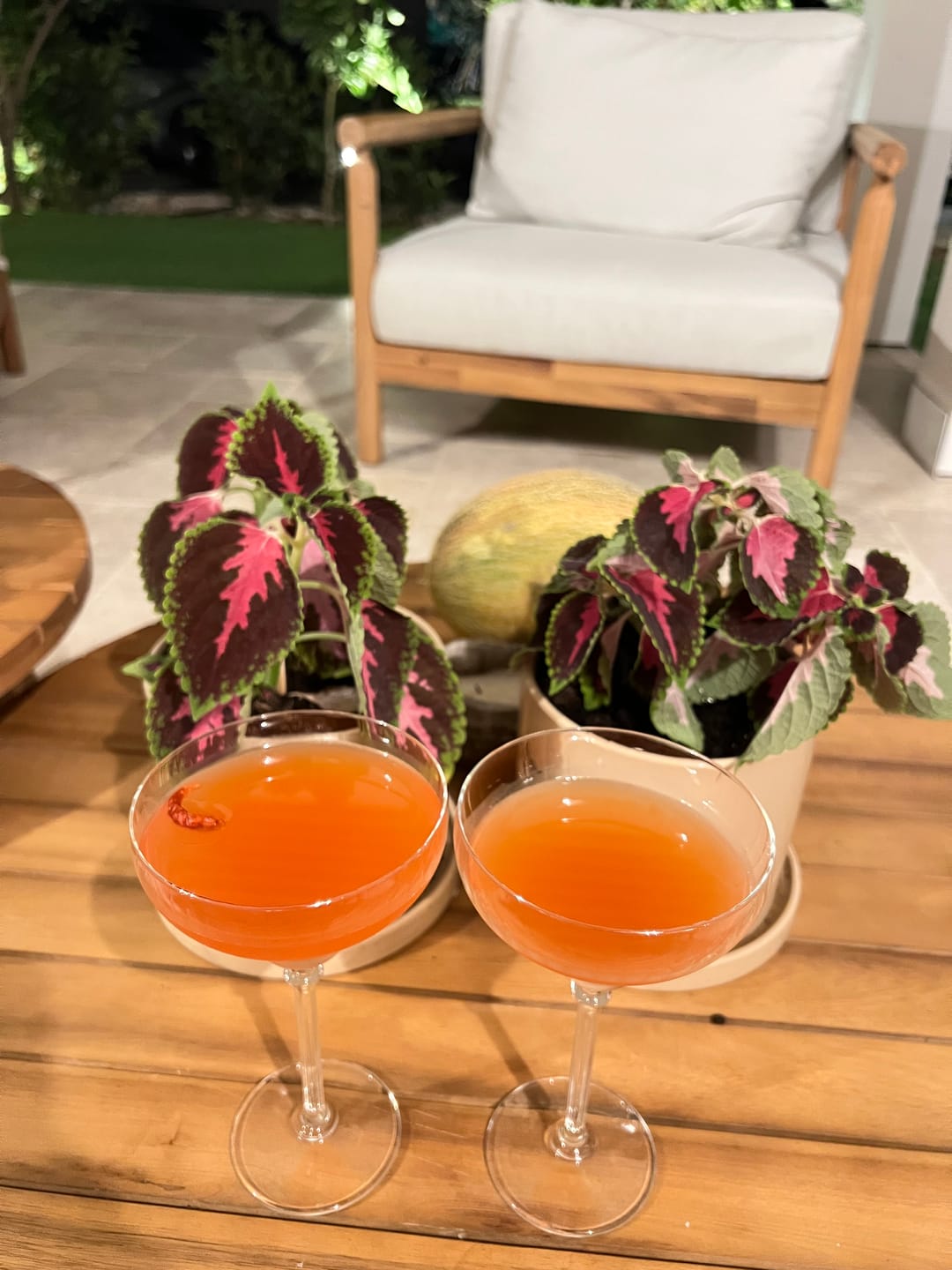 Customer photo review of ספייסי מרגריטה פסיפלורה משפחתי