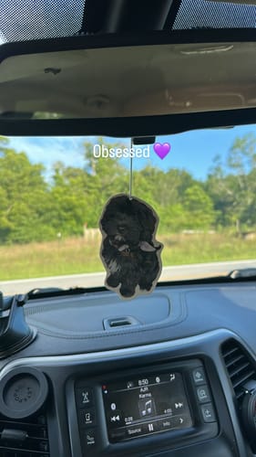 undefined review of Custom Air Freshener image 1 out of 1