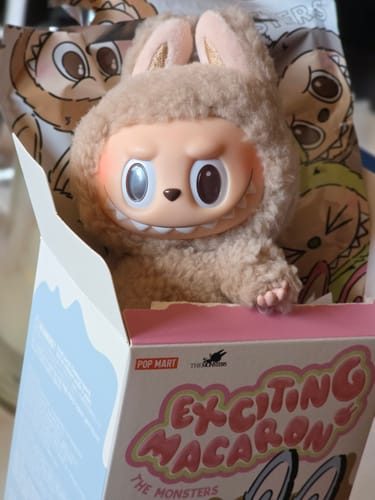 Customer photo review of Pop Mart Labubu The Monsters Tasty Macarons Vinyl Plush Pendant Single Blind Box