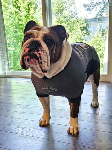 undefined review of Football Mesh Jersey - Grey image 1 out of 3