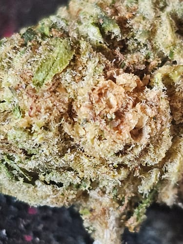 Customer photo review of Gas Station