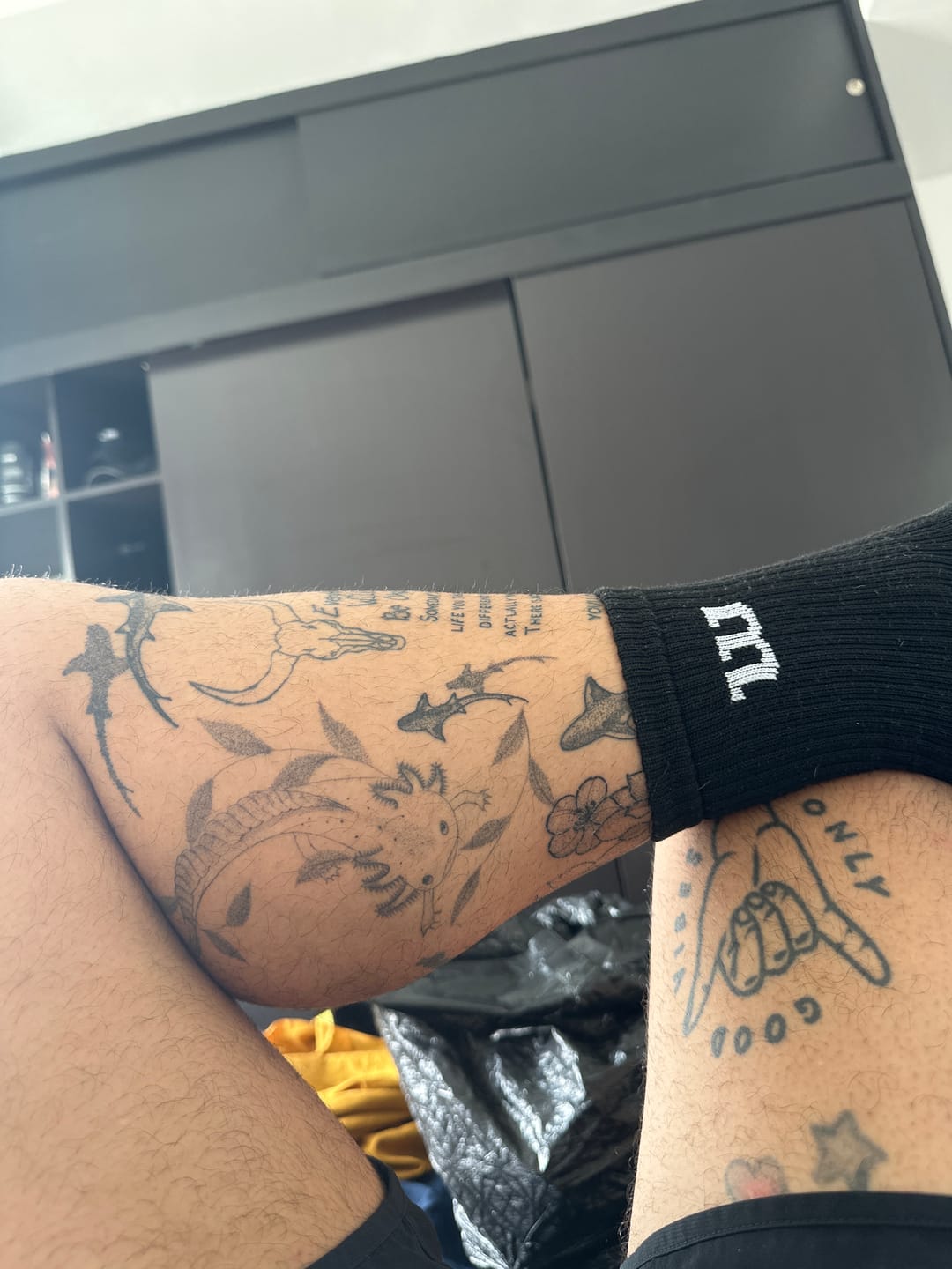 Customer photo review of Combo Definicion: Ostarine, Cardarine, Stanabolic