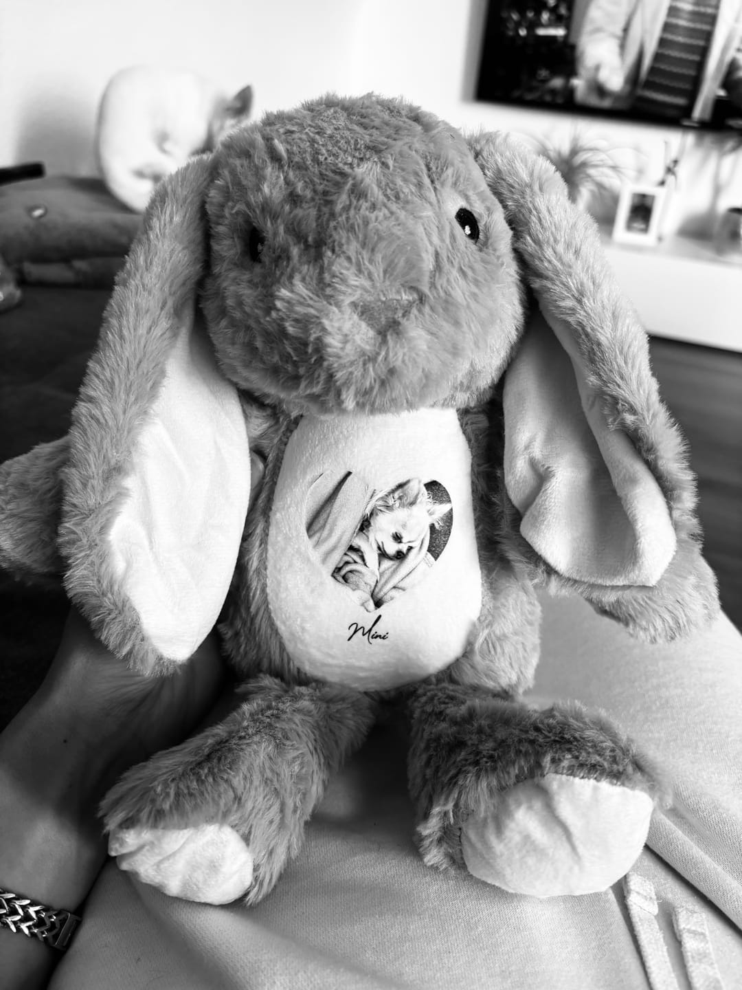Customer photo review of Euer Foto - Stoffhase