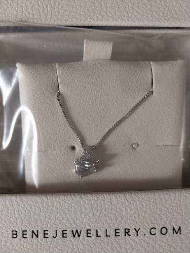 Customer photo review of Vienna Swan Necklace