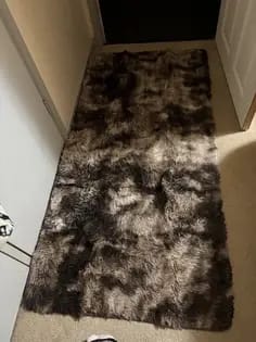 Customer photo review of LUXURY FLUFFY RUG - 50% OFF