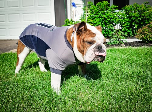 undefined review of Football Mesh Jersey - Grey image 2 out of 3