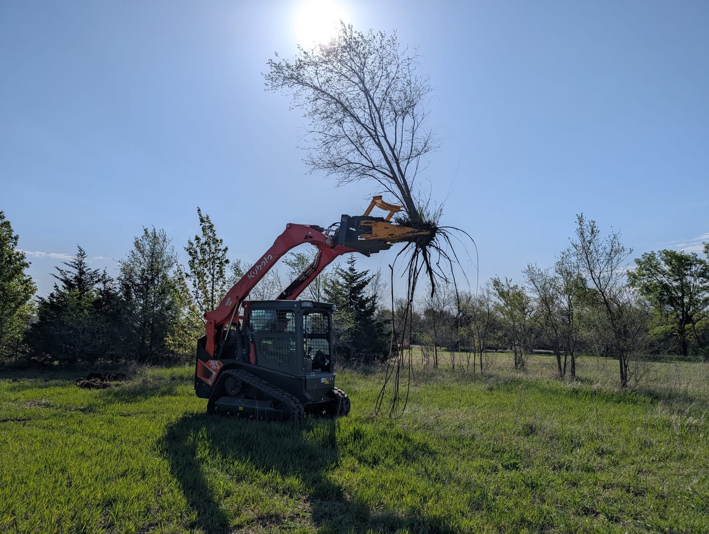 Customer photo review of Xtreme Tree Puller - Power Claw Heavy-Duty Tree Puller