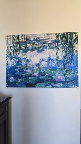 Recensione con foto di un cliente su Ninfee