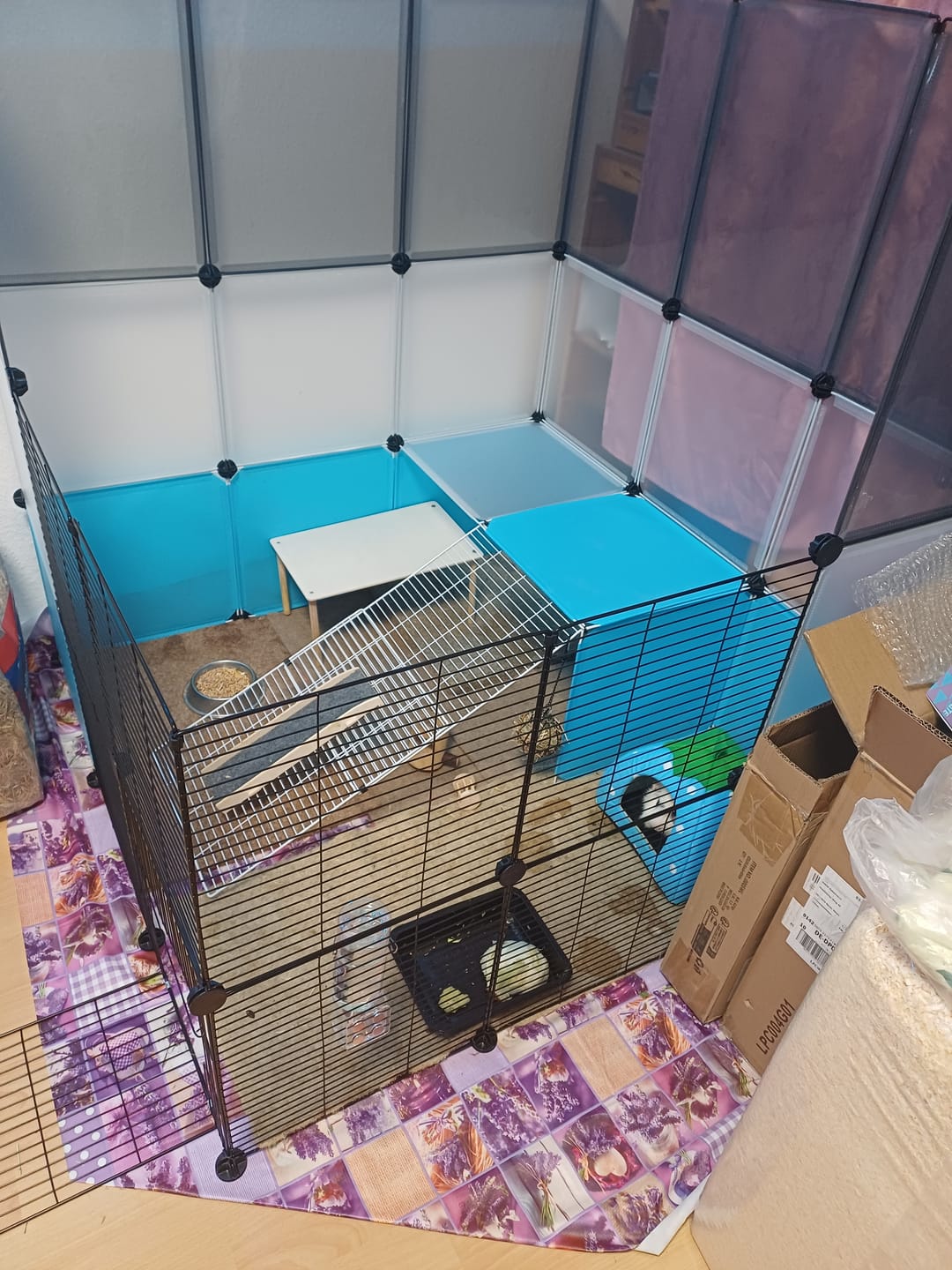 Customer photo review of Felsennapf / Futternapf doppelt aus Keramik