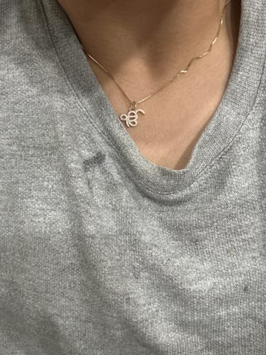 Customer photo review of Ik on kar manifestation necklace