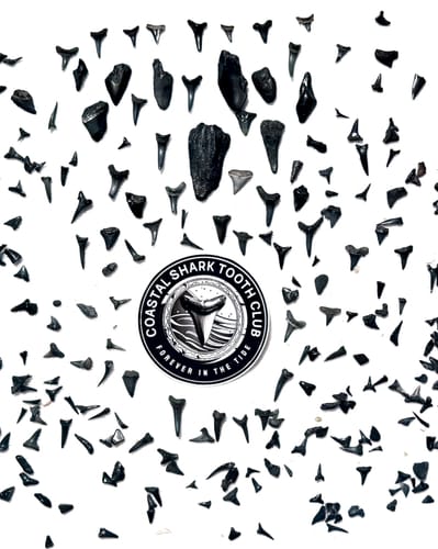 David W. review of Custom Sticker Sale - 3" image 1 out of 1