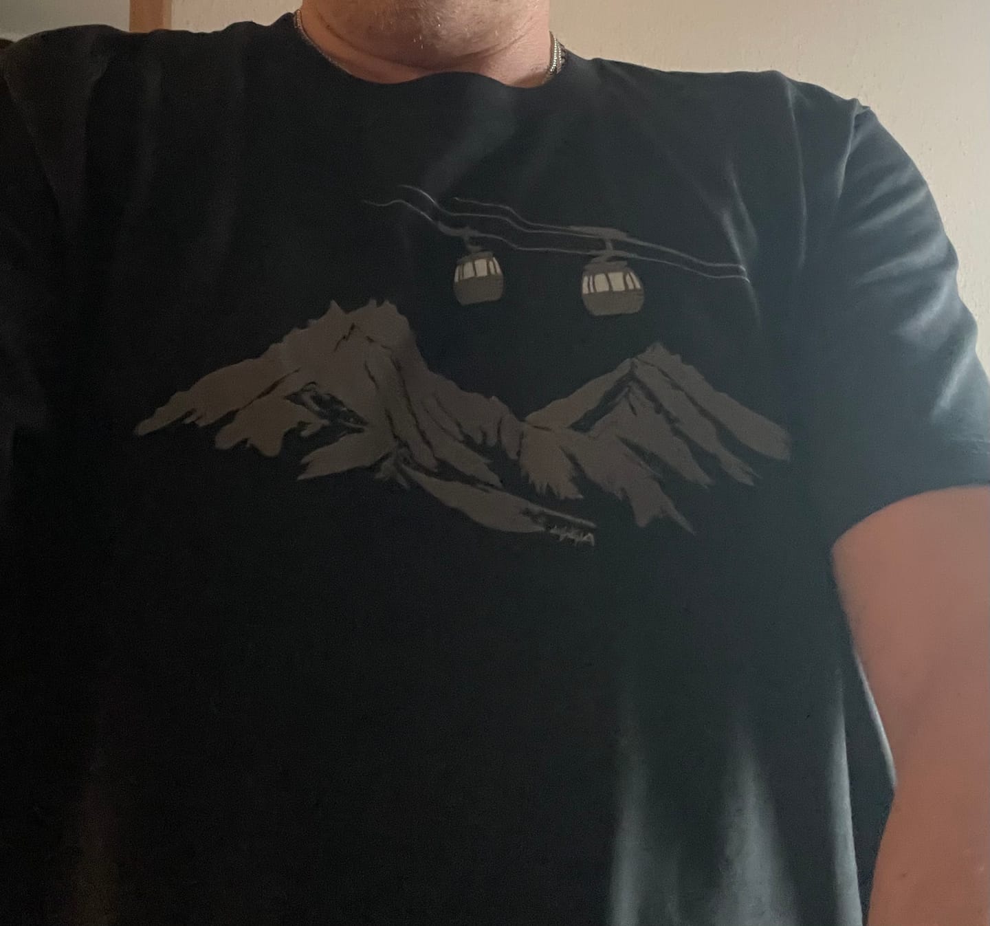 Customer photo review of 4er Gondel  - Herren Premium Organic T-Shirt