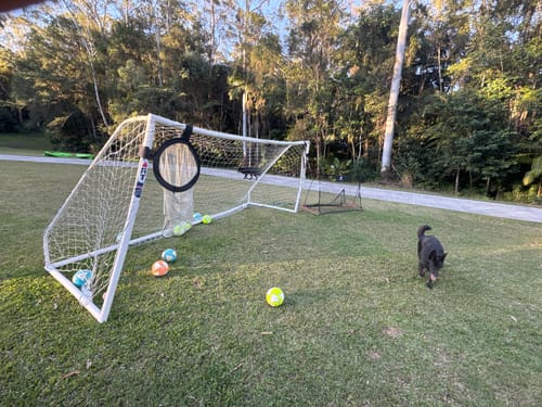 Customer photo review of T-Spec Series IV - Club Training Football