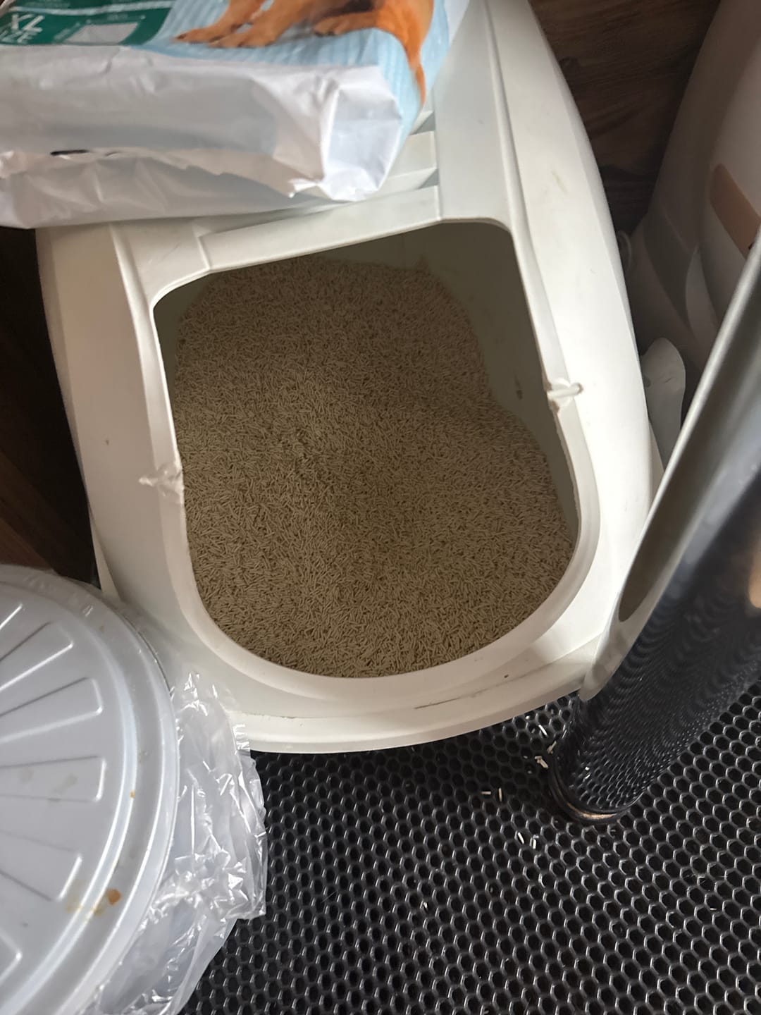 Customer photo review of Katzen Gesundheits Ratgeber von Majescats