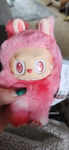 Customer photo review of Pop Mart The Monsters Big Into Energy Series Vinyl Plush Pendant Blind Box
