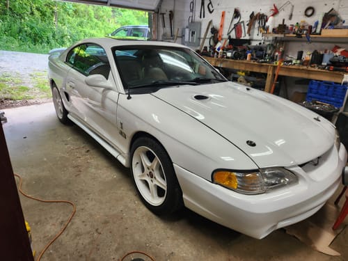 Customer photo review of Limlex® Platinum Car Care Set