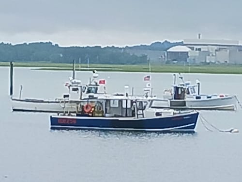 Customer photo review of Custom Digital Boat Artwork