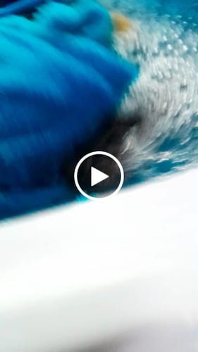 Amle K. review of 2in1 Mini Washing Machine - 15 Mins Fast Laundry (PPW820) image 1 out of 1