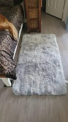 Customer photo review of LUXURY FLUFFY RUG - 50% OFF