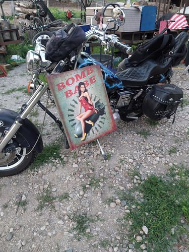 Customer photo review of Custom Pin Up Illustration