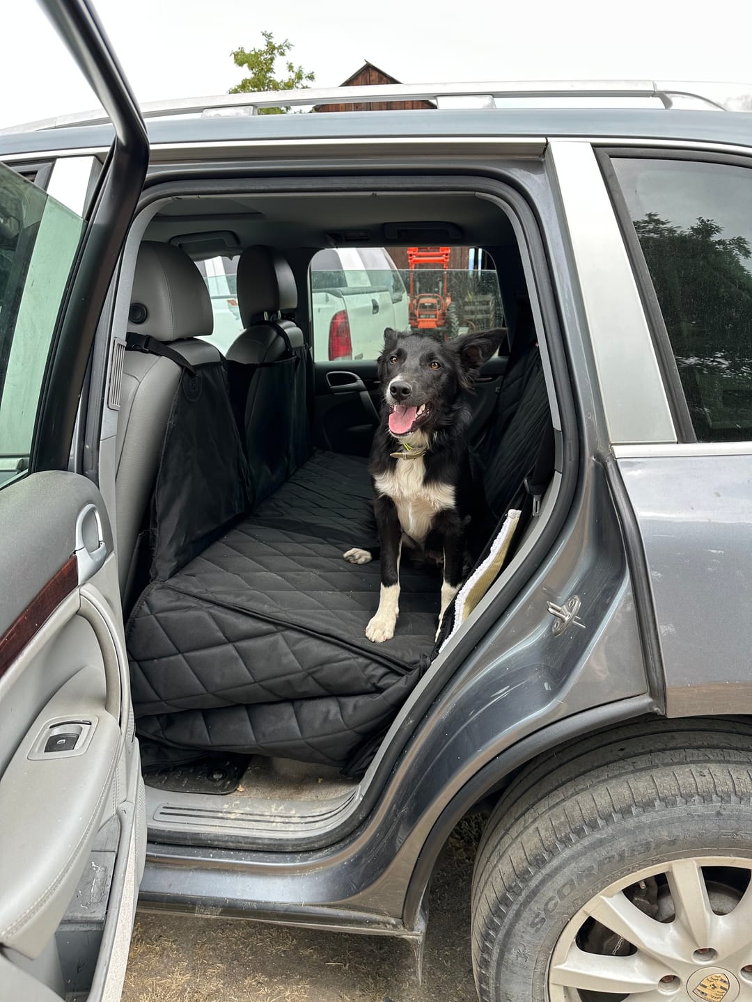 Customer photo review of 4Knines Hard Bottom Extender Car Seat Cover for Dogs - Regular