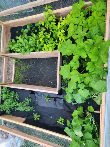 Customer photo review of Design Your Own Garden