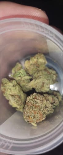 Customer photo review of Purple Peanut Butter