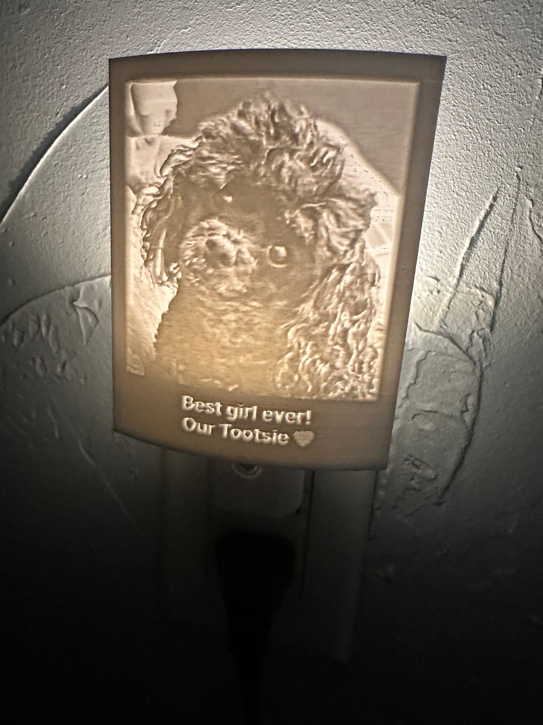 Customer photo review of Memory Frame™ Personalized Night Light