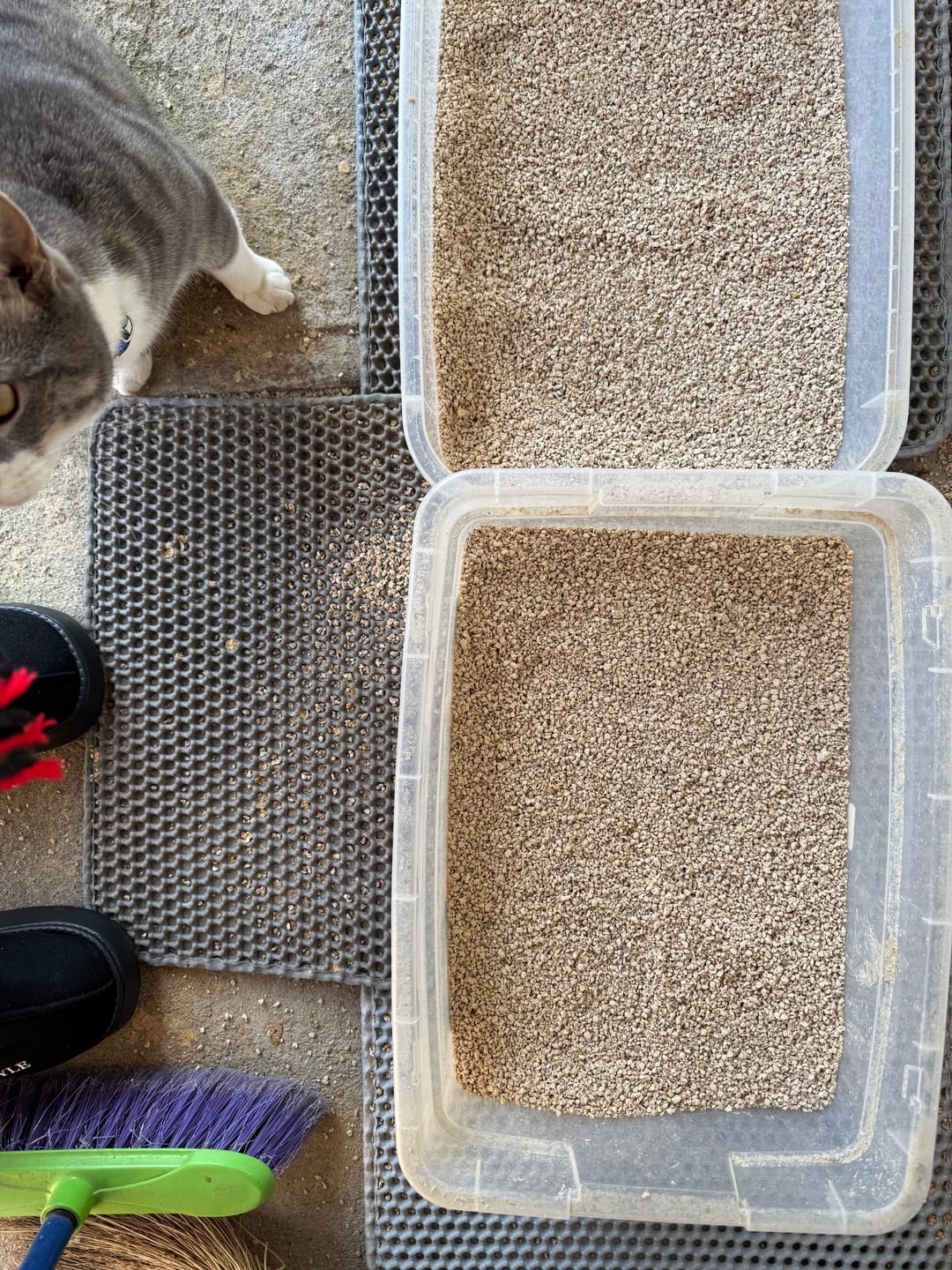 Customer photo review of Arena Biodegradable Cosycat 8,6 kg