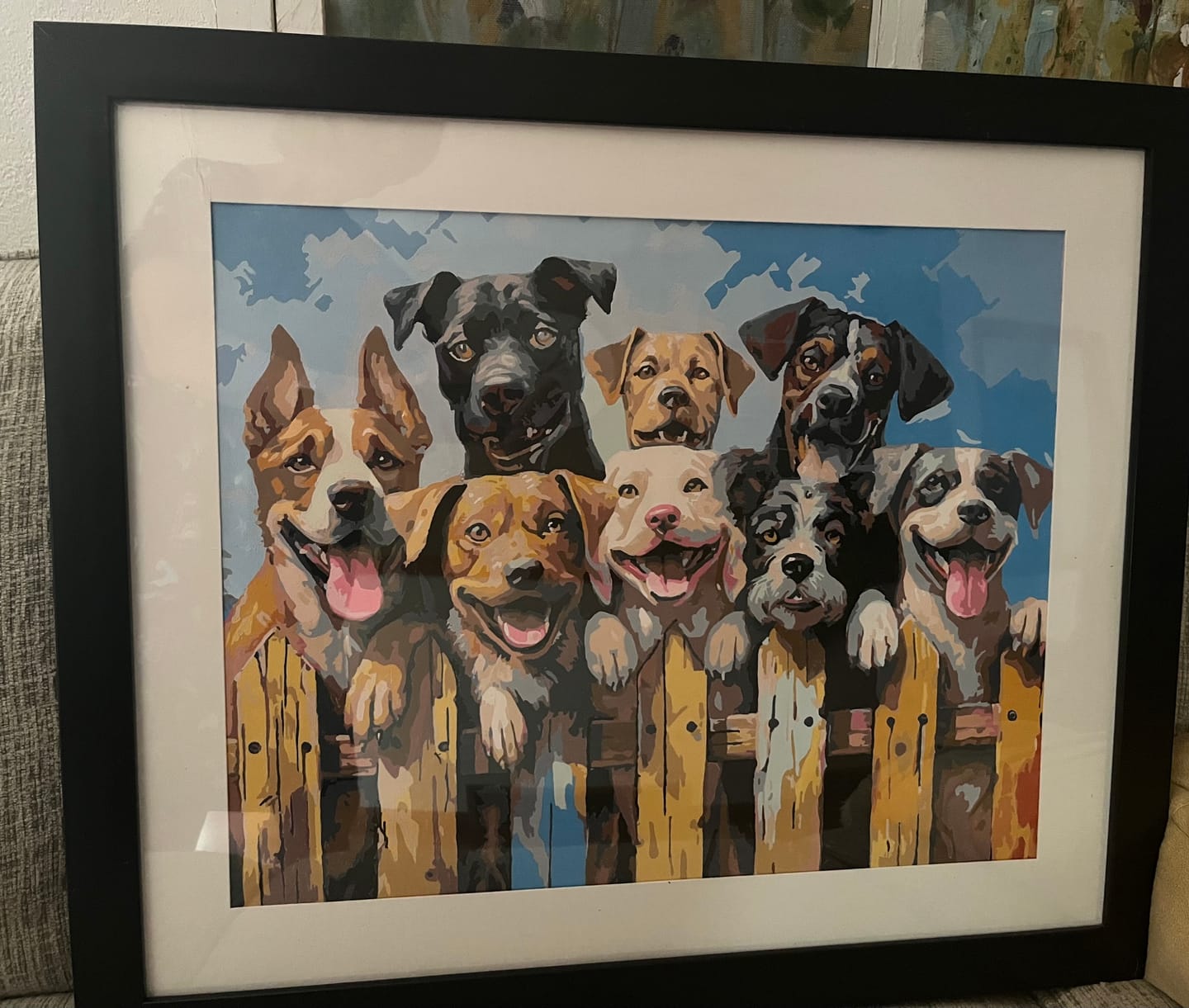 Customer photo review of Dog Days of Summer