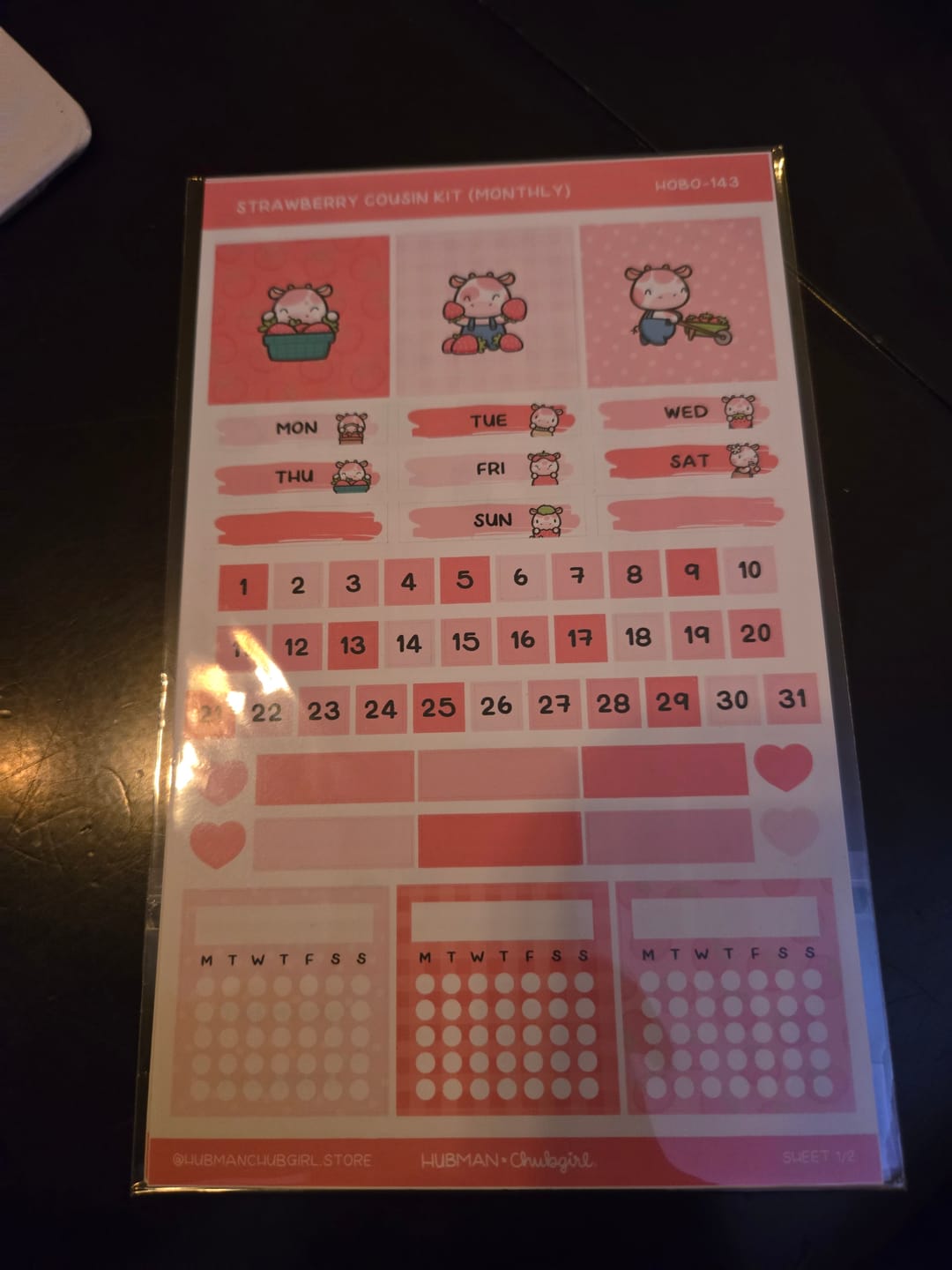 Customer photo review of Strawberry Harvest Theme Hobonichi Cousin Monthly Kit (Set of 2)
