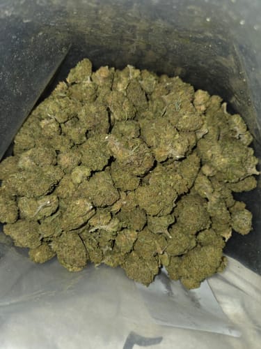 Customer photo review of Jealousy Exotic THCA Flower